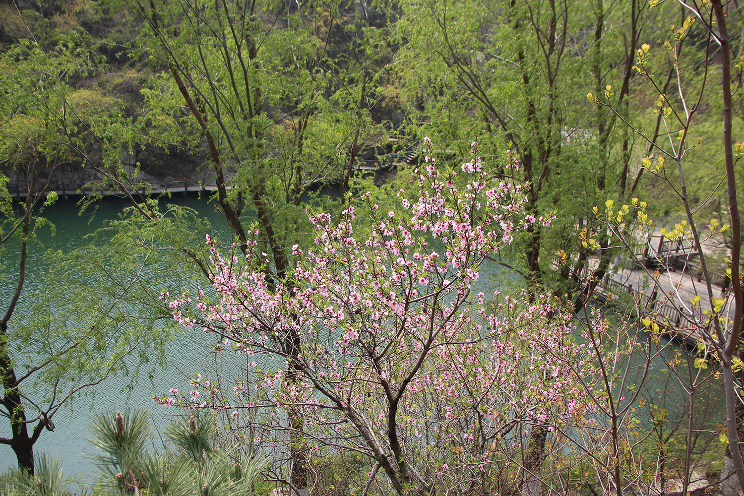 2021，濟(jì)南辰達(dá)試驗(yàn)機(jī)制造有限公司九如山一日游！